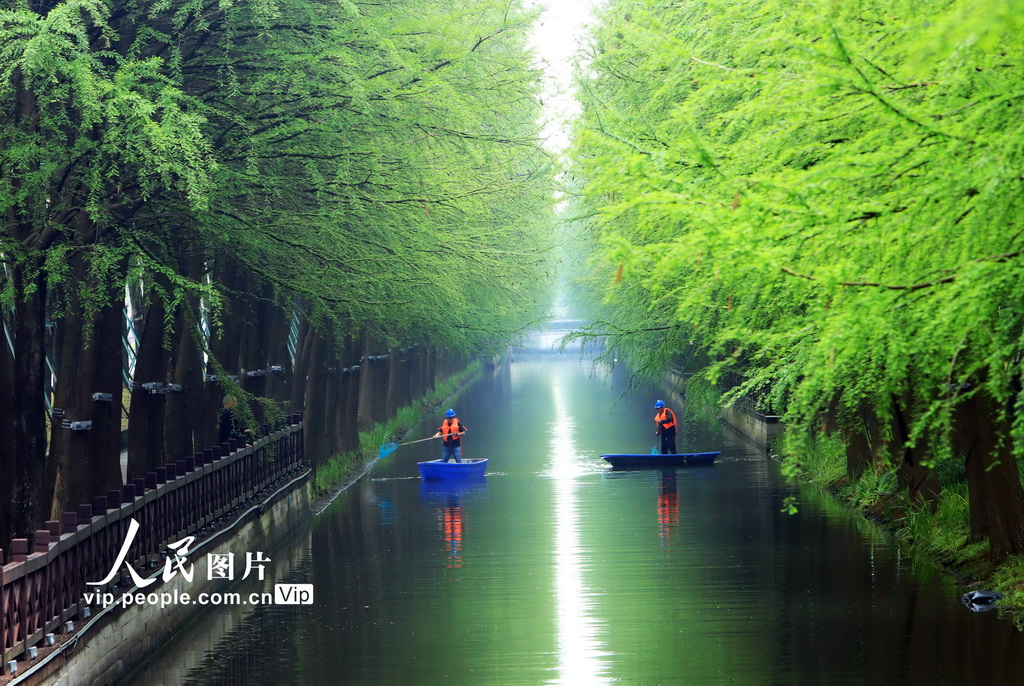 浙江台州：巡河保洁守护水生态