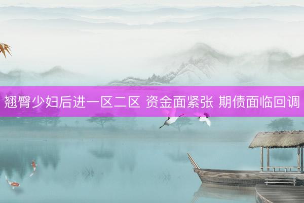 翘臀少妇后进一区二区 资金面紧张 期债面临回调