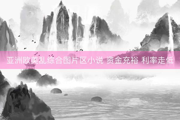亚洲欧美乱综合图片区小说 资金充裕 利率走低