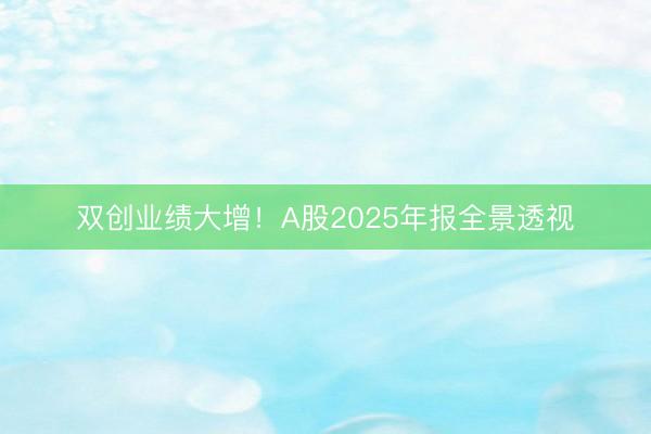 双创业绩大增！A股2025年报全景透视