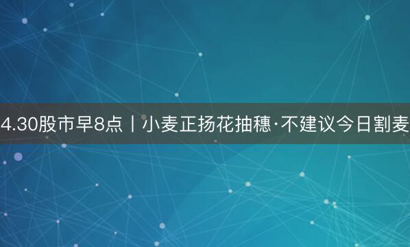 4.30股市早8点丨小麦正扬花抽穗·不建议今日割麦