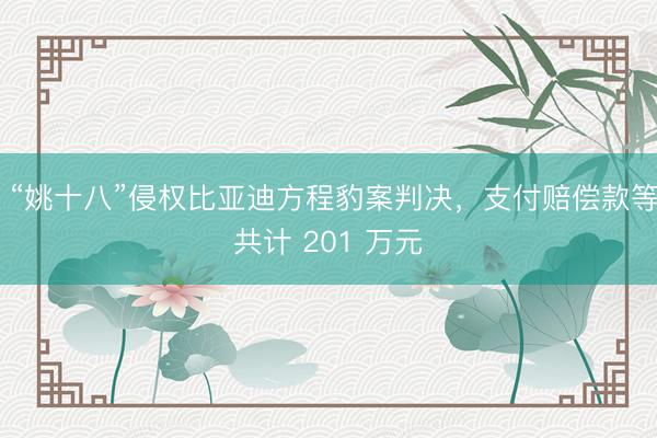  “姚十八”侵权比亚迪方程豹案判决，支付赔偿款等共计 201 万元