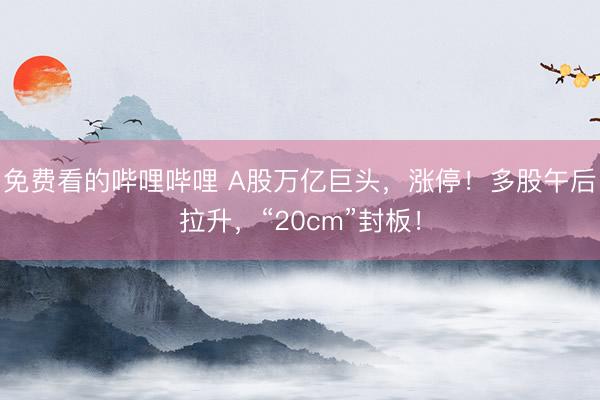 免费看的哔哩哔哩 A股万亿巨头，涨停！多股午后拉升，“20cm”封板！