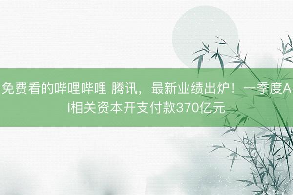 免费看的哔哩哔哩 腾讯，最新业绩出炉！一季度AI相关资本开支付款370亿元