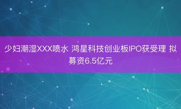 少妇潮湿XXX喷水 鸿星科技创业板IPO获受理 拟募资6.5亿元