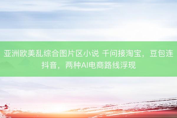 亚洲欧美乱综合图片区小说 千问接淘宝，豆包连抖音，两种AI电商路线浮现