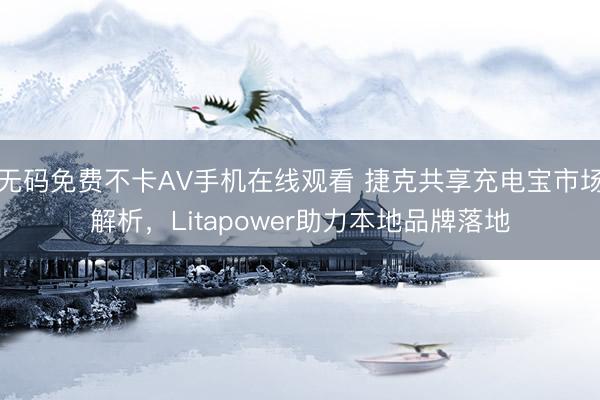 无码免费不卡AV手机在线观看 捷克共享充电宝市场解析，Litapower助力本地品牌落地