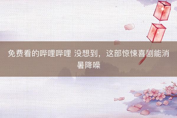 免费看的哔哩哔哩 没想到，这部惊悚喜剧能消暑降噪