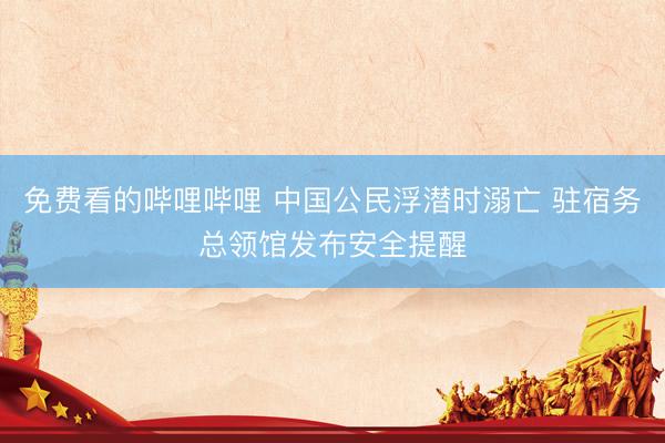 免费看的哔哩哔哩 中国公民浮潜时溺亡 驻宿务总领馆发布安全提醒
