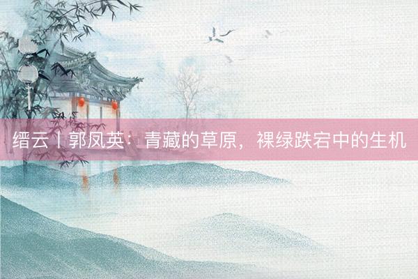 缙云丨郭凤英：青藏的草原，裸绿跌宕中的生机