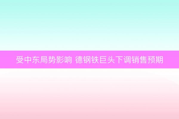 受中东局势影响 德钢铁巨头下调销售预期