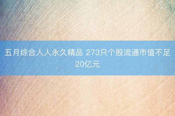 五月综合人人永久精品 273只个股流通市值不足20亿元