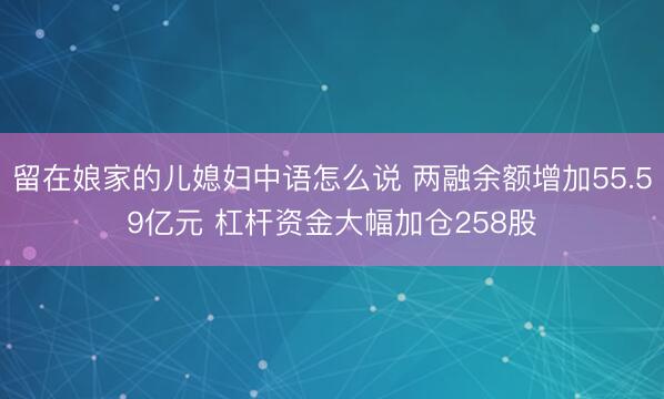 留在娘家的儿媳妇中语怎么说 两融余额增加55.59亿元 杠杆资金大幅加仓258股