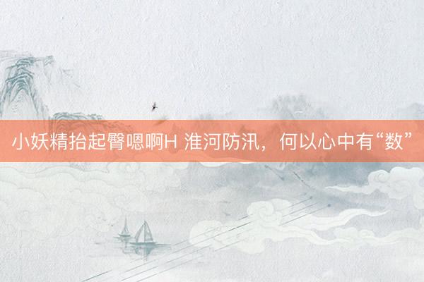小妖精抬起臀嗯啊H 淮河防汛，何以心中有“数”
