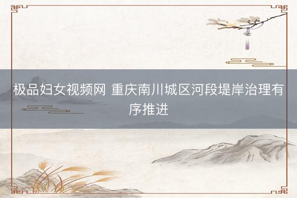 极品妇女视频网 重庆南川城区河段堤岸治理有序推进