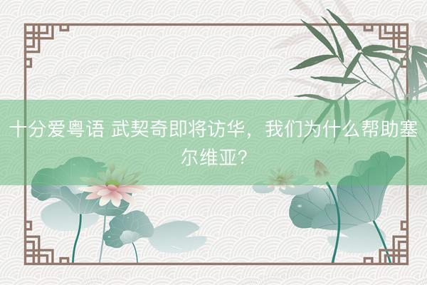十分爱粤语 武契奇即将访华，我们为什么帮助塞尔维亚？