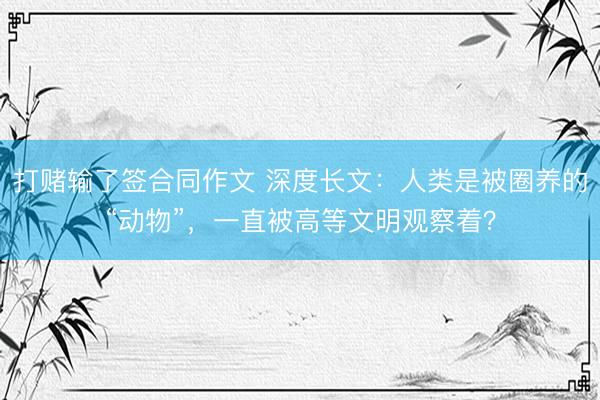 打赌输了签合同作文 深度长文：人类是被圈养的“动物”，一直被高等文明观察着？