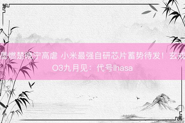 墨燃楚晚宁高虐 小米最强自研芯片蓄势待发！玄戒O3九月见：代号lhasa