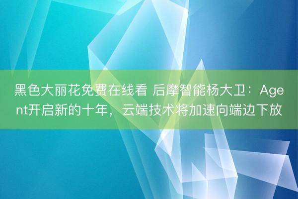 黑色大丽花免费在线看 后摩智能杨大卫：Agent开启新的十年，云端技术将加速向端边下放