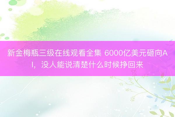 新金梅瓶三级在线观看全集 6000亿美元砸向AI，没人能说清楚什么时候挣回来
