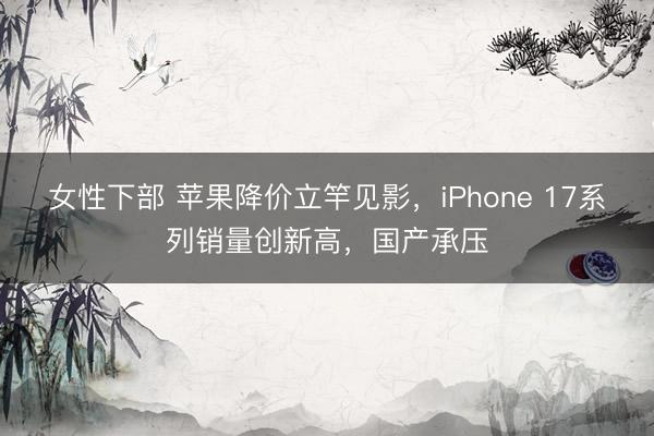 女性下部 苹果降价立竿见影，iPhone 17系列销量创新高，国产承压