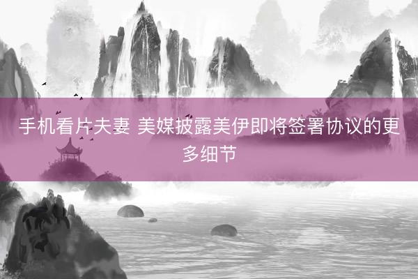手机看片夫妻 美媒披露美伊即将签署协议的更多细节