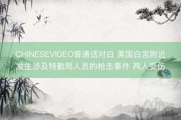 CHINESEVIDEO普通话对白 美国白宫附近发生涉及特勤局人员的枪击事件 两人受伤