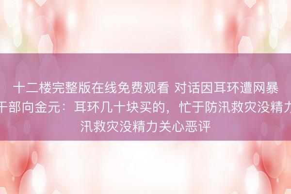 十二楼完整版在线免费观看 对话因耳环遭网暴的石门村干部向金元：耳环几十块买的，忙于防汛救灾没精力关心恶评