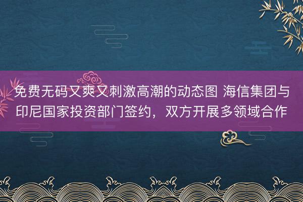 免费无码又爽又刺激高潮的动态图 海信集团与印尼国家投资部门签约，双方开展多领域合作