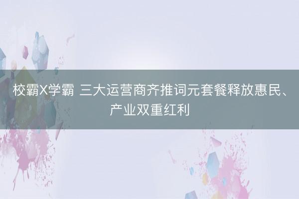 校霸X学霸 三大运营商齐推词元套餐释放惠民、产业双重红利
