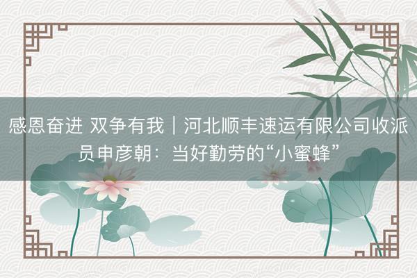 感恩奋进 双争有我｜河北顺丰速运有限公司收派员申彦朝：当好勤劳的“小蜜蜂”