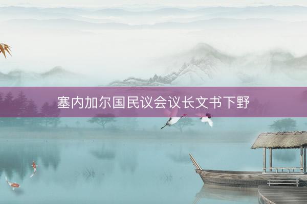 塞内加尔国民议会议长文书下野