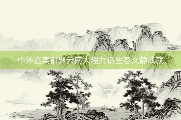 中外嘉宾都聚云南大理共话生态文静成就