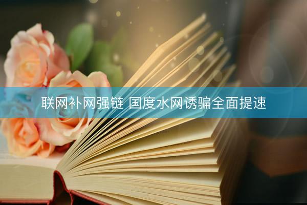 联网补网强链 国度水网诱骗全面提速
