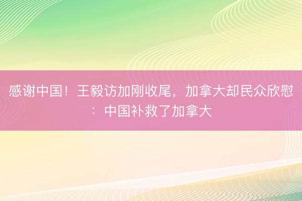 感谢中国！王毅访加刚收尾，加拿大却民众欣慰：中国补救了加拿大
