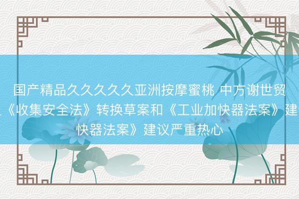 国产精品久久久久久亚洲按摩蜜桃 中方谢世贸组织就欧盟《收集安全法》转换草案和《工业加快器法案》建议严重热心