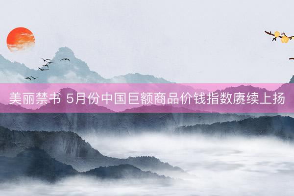 美丽禁书 5月份中国巨额商品价钱指数赓续上扬