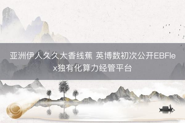亚洲伊人久久大香线蕉 英博数初次公开EBFlex独有化算力经管平台