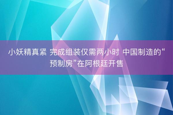 小妖精真紧 完成组装仅需两小时 中国制造的“预制房”在阿根廷开售