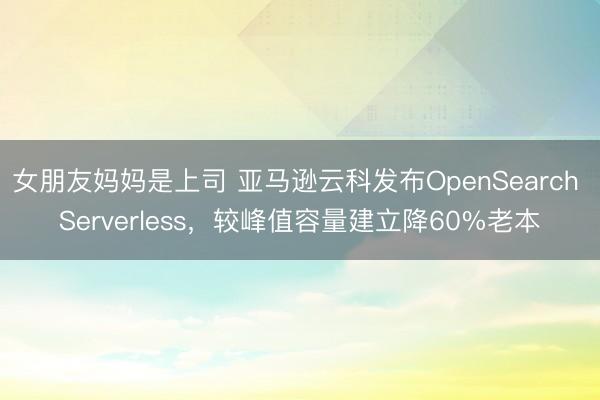 女朋友妈妈是上司 亚马逊云科发布OpenSearch Serverless，较峰值容量建立降60%老本