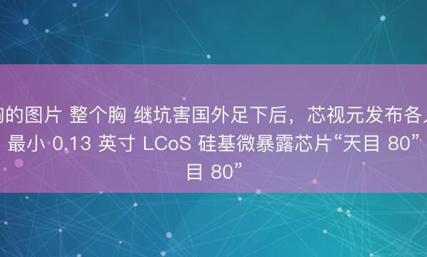 胸的图片 整个胸 继坑害国外足下后，芯视元发布各人最小 0.13 英寸 LCoS 硅基微暴露芯片“天目 80”