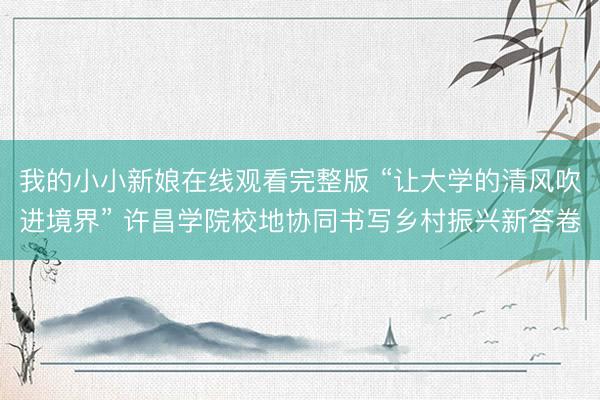 我的小小新娘在线观看完整版 “让大学的清风吹进境界” 许昌学院校地协同书写乡村振兴新答卷