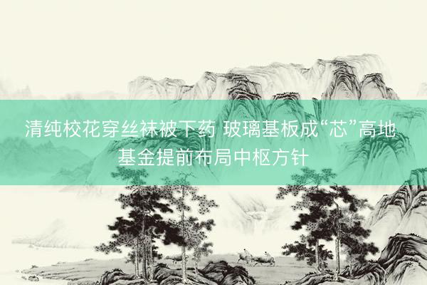 清纯校花穿丝袜被下药 玻璃基板成“芯”高地 基金提前布局中枢方针