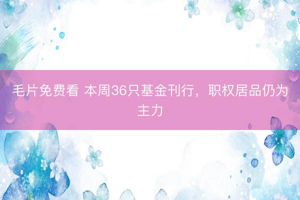 毛片免费看 本周36只基金刊行,职权居品仍为主力