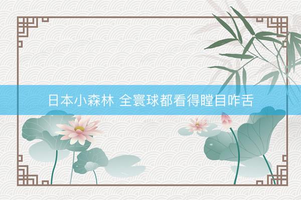 日本小森林 全寰球都看得瞠目咋舌