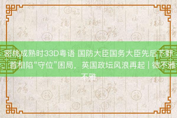 密桃成熟时33D粤语 国防大臣国务大臣先后下野，首相陷“守位”困局，英国政坛风浪再起 | 微不雅