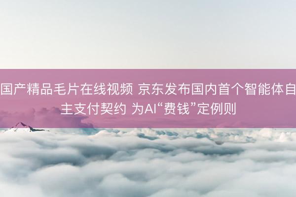 国产精品毛片在线视频 京东发布国内首个智能体自主支付契约 为AI“费钱”定例则