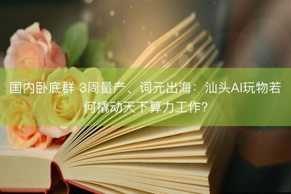国内卧底群 3周量产、词元出海：汕头AI玩物若何撬动天下算力工作？