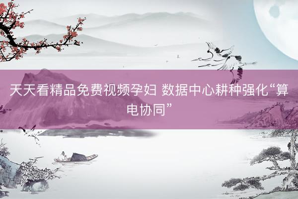 天天看精品免费视频孕妇 数据中心耕种强化“算电协同”