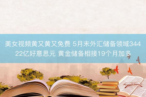 美女视频黄又黄又免费 5月末外汇储备领域34422亿好意思元 黄金储备相接19个月加多